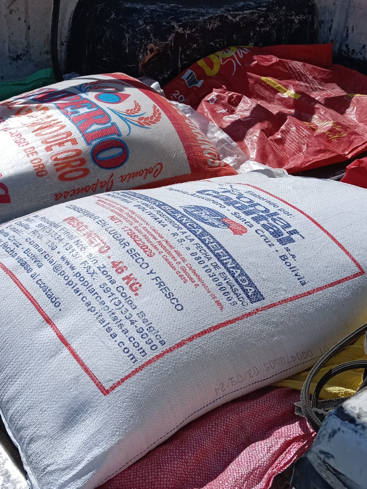 Navidad 2024 - Imagen 2